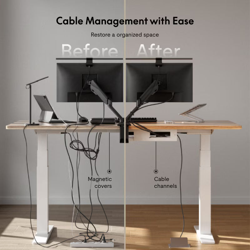Premium Standing Desk (E7 Pro)