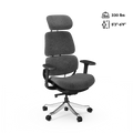 Premium Ergo Executive Office Chair R8
