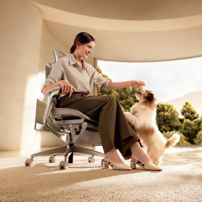 Premium Butterfly-Back Ergonomic Chair (Apollo)