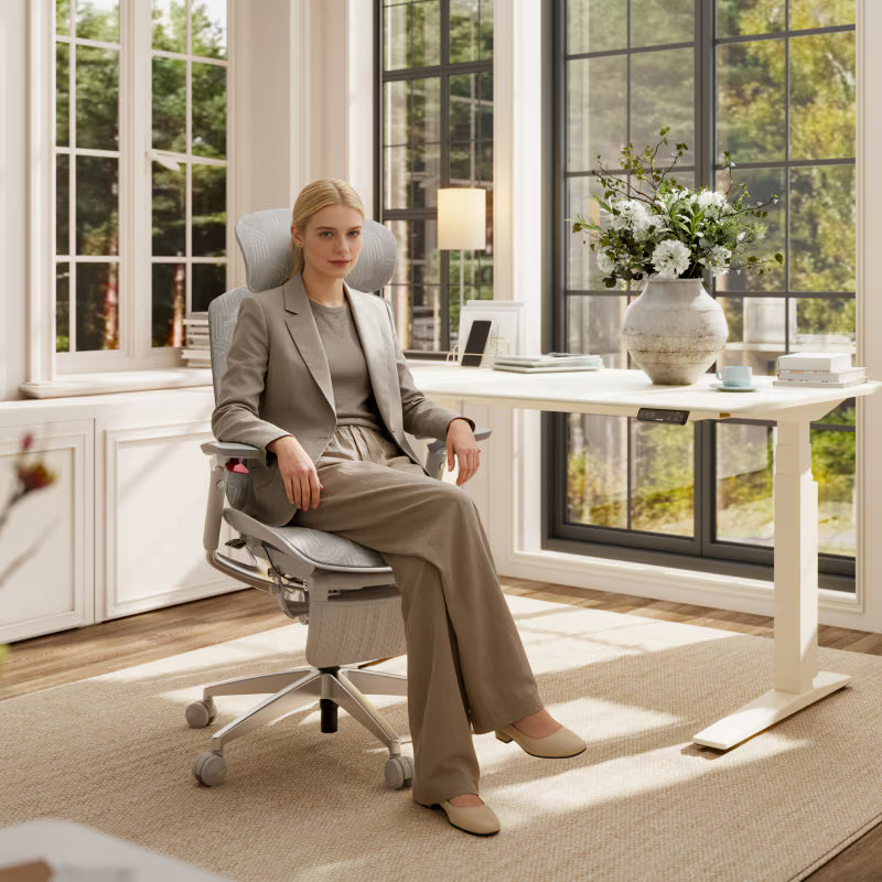 Premium Butterfly-Back Ergonomic Chair (Apollo)