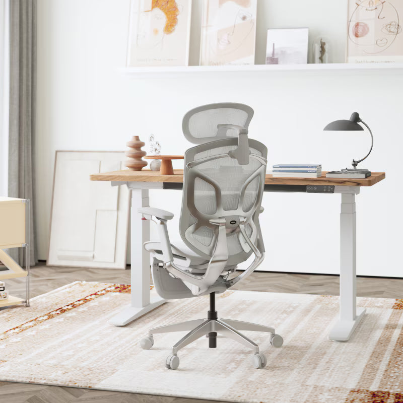 Premium Butterfly-Back Ergonomic Chair (Apollo)