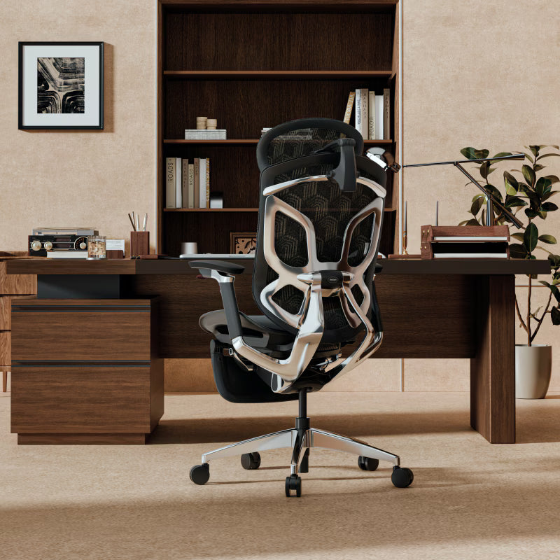 Premium Butterfly-Back Ergonomic Chair (Apollo)