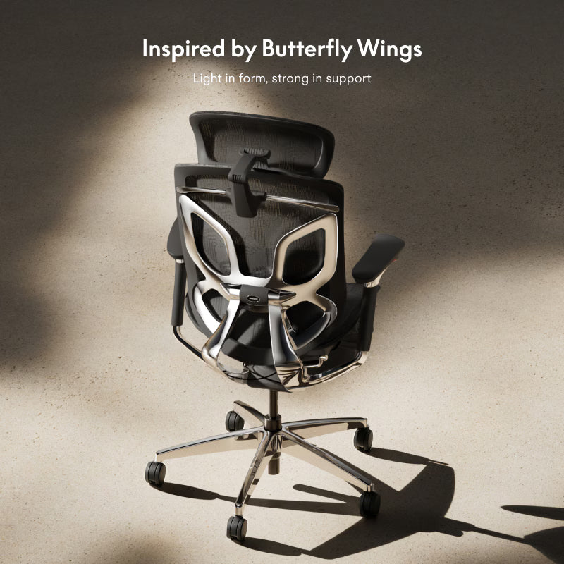 Premium Butterfly-Back Ergonomic Chair (Apollo)