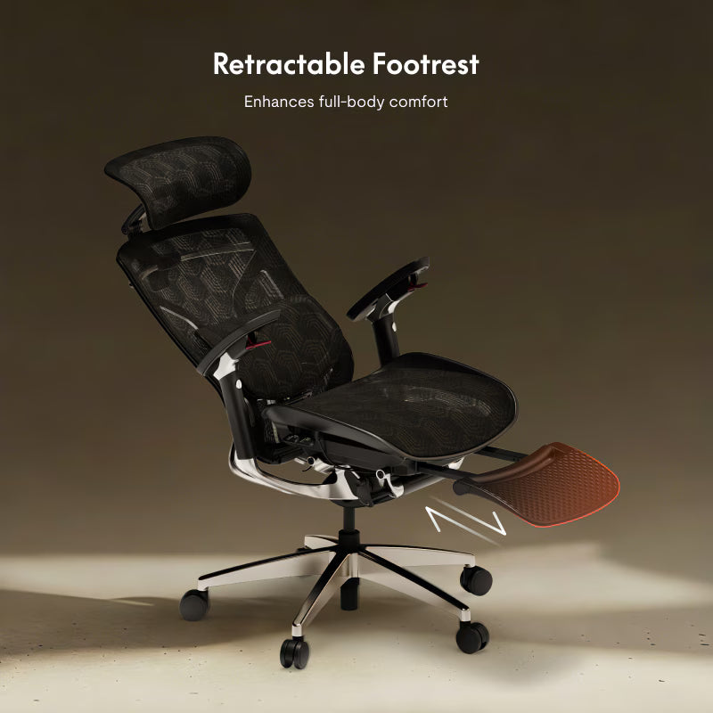 Premium Butterfly-Back Ergonomic Chair (Apollo)