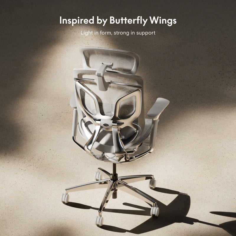 Premium Butterfly-Back Ergonomic Chair (Apollo)
