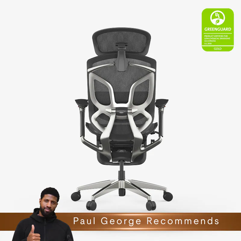Premium Butterfly-Back Ergonomic Chair (Apollo)
