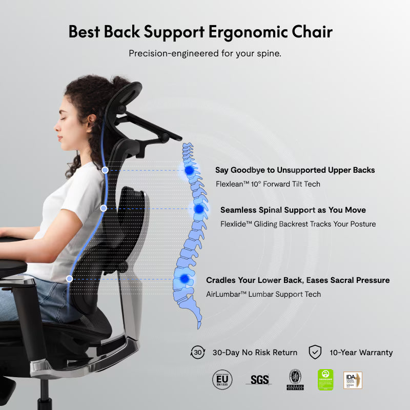 Premium Back Support Ergo Chair (C7 Morpher)