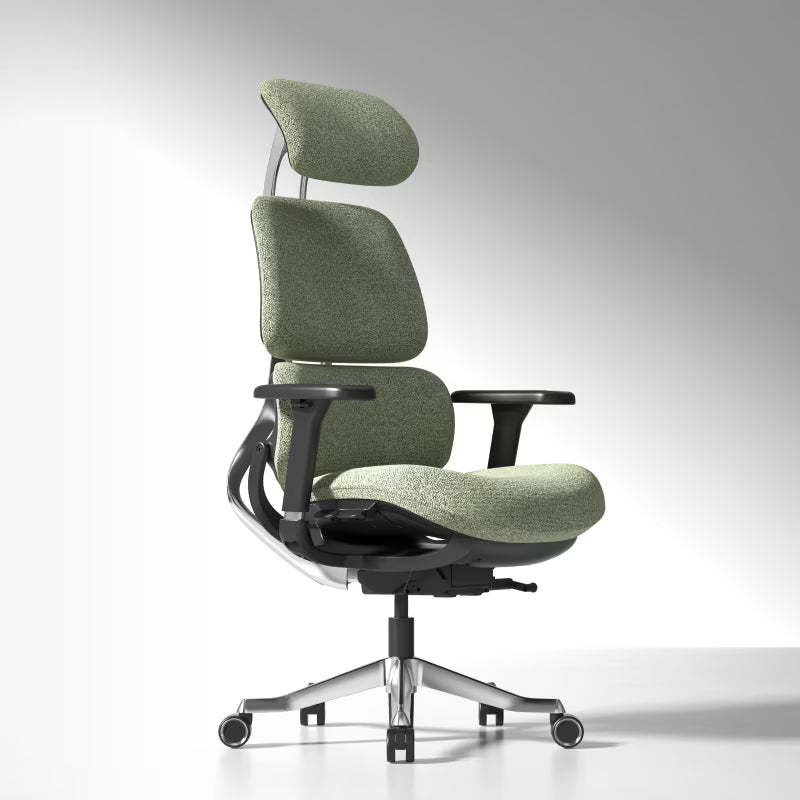 Premium Ergo Executive Office Chair R8
