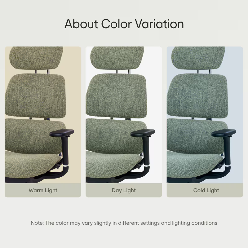 Premium Ergo Executive Office Chair R8
