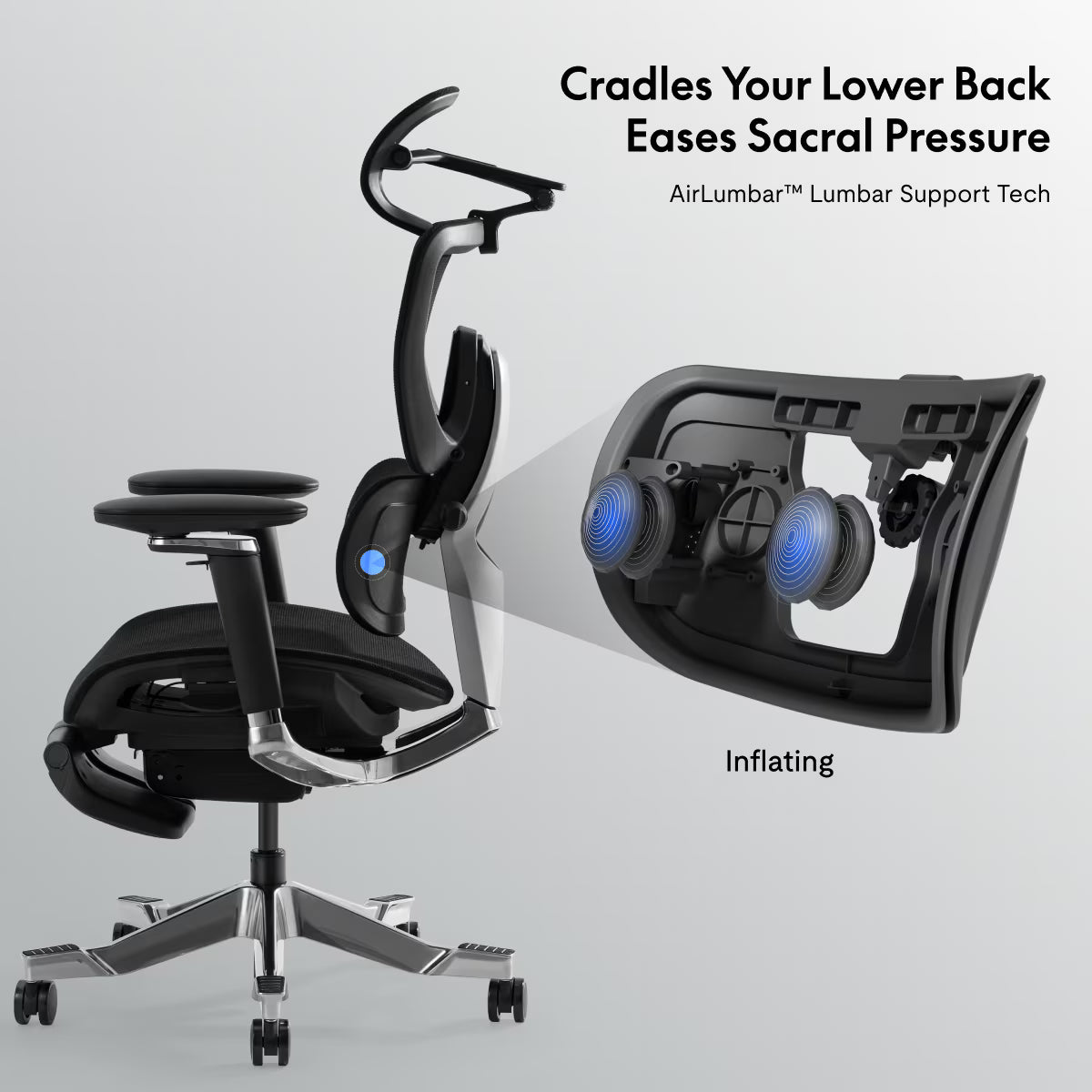 Premium Back Support Ergo Chair (C7 Morpher)