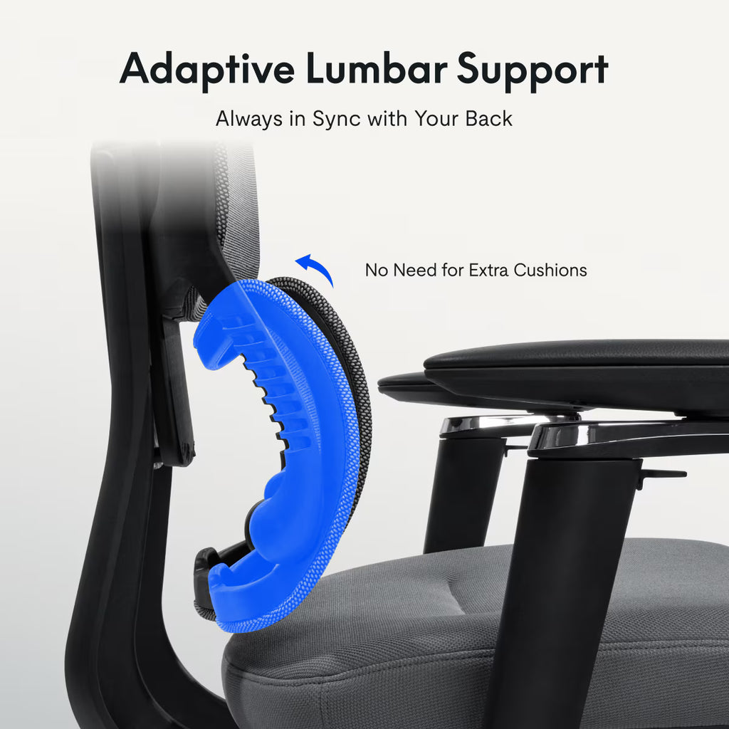 Premium Ergonomic Office Chair (C7 Max)